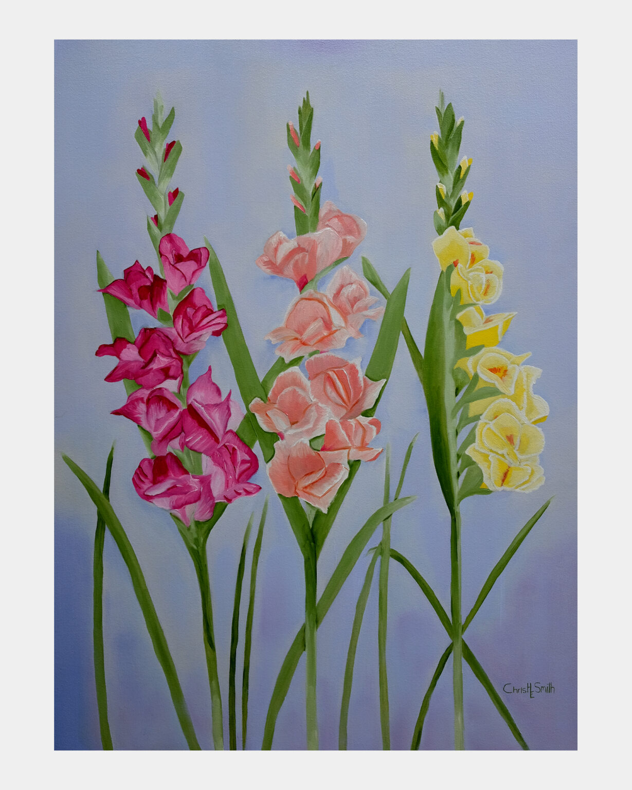 Gladiolus - URBANE MUSE CHRIS SMITH®